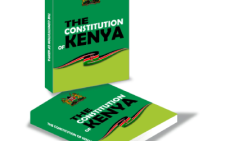 The Story of the Constitution